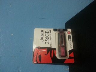 Kingstone USB Flash Drive 256gb DT310 Model