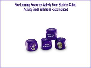 Brand New Learning Resources Activity Foam Skeleton Cubes