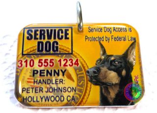 service dog id in Collars & Tags