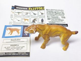Dinotales UHA Series 2 JAPAN ONLY Kaiyodo Figure #39 Smilodon (Felidae 