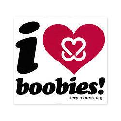 KEEP A BREAST I Love Boobies small Sticker color white