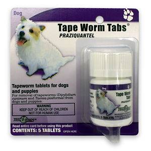 Praziquantel Canine Tape Worm Tabs, 5 x 34mg tab