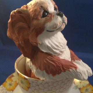 OOAK KING CHARLES SPANIEL IN AN ANTIQUE TEACUP SET SCULPTED BY ARTIST 