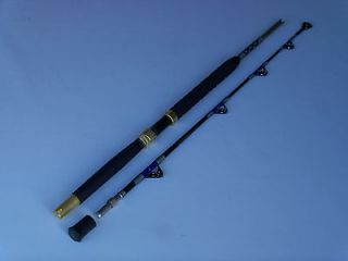 Travel 2 Piece Roller Guides Troll Fishing Rod 50 80