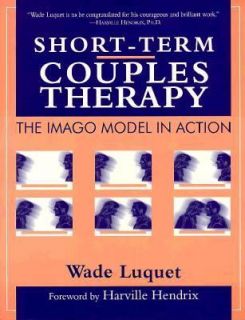 Short Term Couples Therapy Bk. 8027 The Imago Model in Action by Wade 