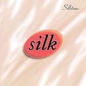 Silktime Edited by Silk 90s R B CD, Sep 2003, Liquid 8