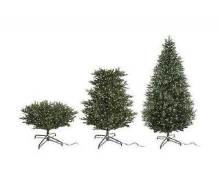   Lights ReadyShape 7.5 Noble FirTree w/ Instant Power CHRISTMAS MULTI