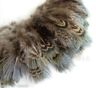   pheasant feathers, green almonds / 1.5” 2.5” (3 5 cm) long/ F27 1