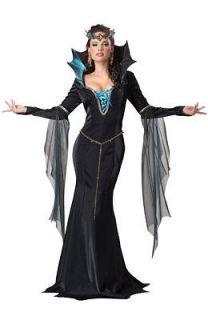Evil Sorceress Queen Witch Adult Costume SizeLarge
