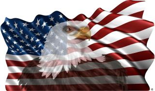 American flag eagle vinyl graphic decal motorhome rv mural FLAWED