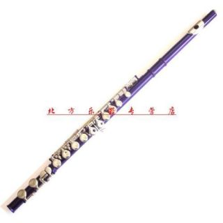 New Color 16 closed hole Purple flute +E+Case C key