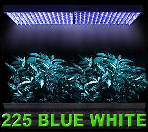 2x225 LED AQUARIUM PLANT GROW LIGHT PANEL WHITE BLUE US