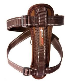   Plate Harness Chocolate Brown Seat Belt Restraint ReflectiveStit​ch
