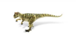 ALLOSAURUS NEW Bullyland Dinosaur Toy Figure Carnivore 10PDP