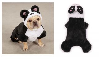 Panda Pup Costume for Dogs   Halloween Dog Costumes    