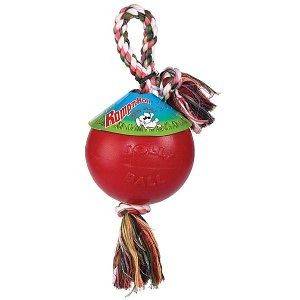 Romp N Roll Jolly Plastic Ball w/Rope Dog Toy 8 LG