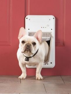 PetSafe Smart Door Electronic Locking Pet Door Keeps You SAFE Locks 