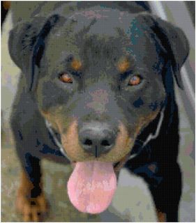 Rottweiler Dog Counted Cross Stitch Pattern Chart