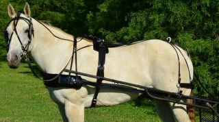 DRAFT HORSE* SIZE Solid BLACK Biothane HARNESS with BLACK PAD Driving 