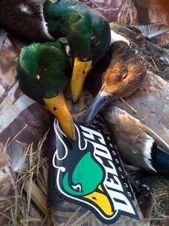 ducks unlimited decoys in Sporting Goods