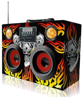 Portable Multimedia Disco Speaker Boombox /USB/SD/AUX​/FM Radio 