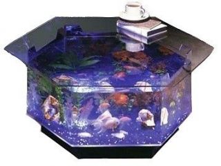 100 gallon fish tank in Aquariums