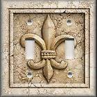   Switch Plate Cover   French Fleur De Lis   Aged Stone Image   Tan