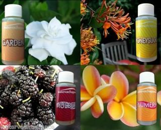 Fragrances for Rainbow, Hyla, ProAqua and more *4 Pack*