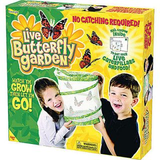 Kids Insect Lore Live Butterfly GardenCaterpi​llars Transform to 