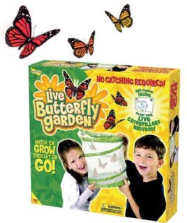 Live Butterfly Garden Painted Lady Habitat by Insect Lore