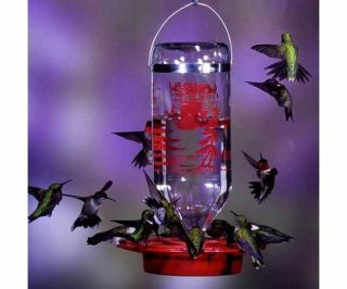   Outdoor Living  Bird & Wildlife Accessories  Nectar Feeders