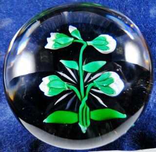 PW111) Antique Baccarat White Clematis Buds Paperweight