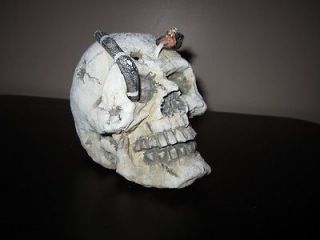 USED ~ Mini Human Skull Replica with Snake through eye Aquarium/Bowl 