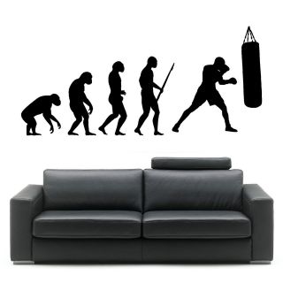 Darwin EVOLUTION OF MAN BOXING BOXER wall art vinyl sticker decal FAST 