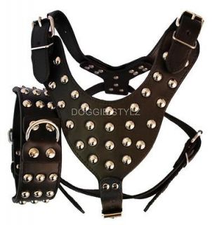 husky harness in Harnesses