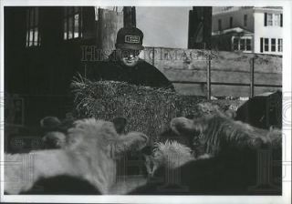   Photo Harlan Rigney Throw A Bale Of Hay Into Feed Trough Some Cattle