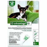 Bayer Advantage Green 4 Pack Flea Drops 10 lbs and under Dog