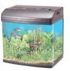 Micro Curved Glass Aquarium   5 Gallon