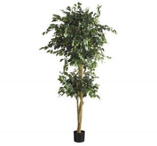   Ball Artificial FICUS TREE w/ 3 Trunks  Nearly Natural Collection