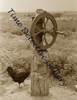 Old Corn Grinder   Historic Photo Print