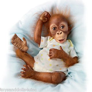 real baby monkeys
