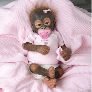real baby monkeys