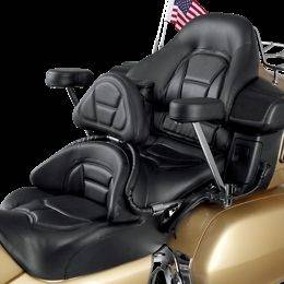 Driver Backrest/Passenger Armrest Combo Goldwing New