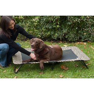 Elevated Pet Cot Dog Cat Bed Capacity 100 lbs XL Sage or Tan Bone 