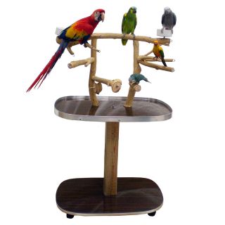  Parrot Play Gym Floor Stand Perch Large Birds Parrots 4640W