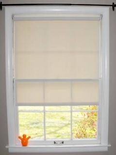 Roller Shade in Blinds & Shades