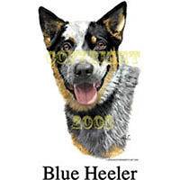 BLUE HEELER T Shirt, Short Sleeve, DOG D0025