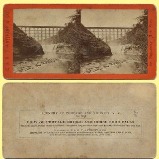 1870s Huge Wood Portage Bridge & Horse Shoe Falls, Anthony 