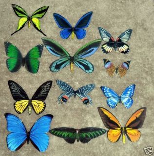 butterfly magnets in Home & Garden