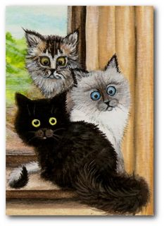 Curious Window Cats Black Kitten Maine Coon Himalayan   BiHrLe ArT LE 
